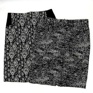 Skirt Bundle Chicos and Grace Elements, Small